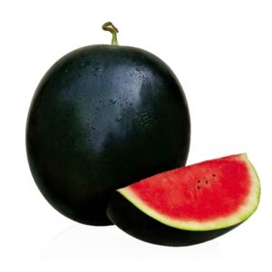 Benih Tembikai Tanpa Biji 10pcs kulit hitam Seedless Watermelon 无籽西瓜种子水果蔬菜种子 biji benih tembikai tanpa biji merah kuning