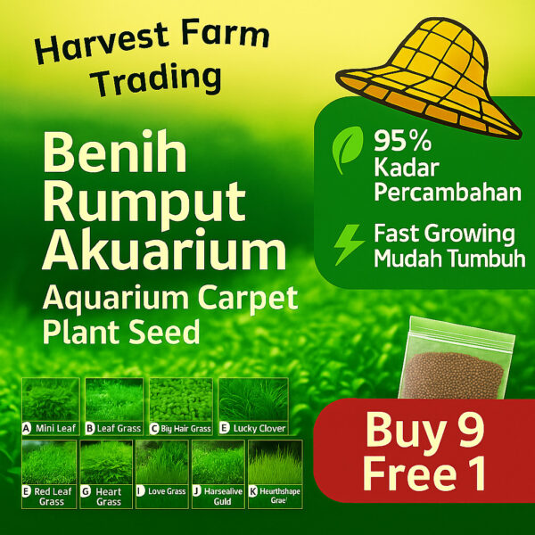 Aquarium Grass Seed 5Gram Water Plant 95% Germination Benih Rumput Akuarium Mudah Tumbuh 水族水草种子 地毯草 高发芽率