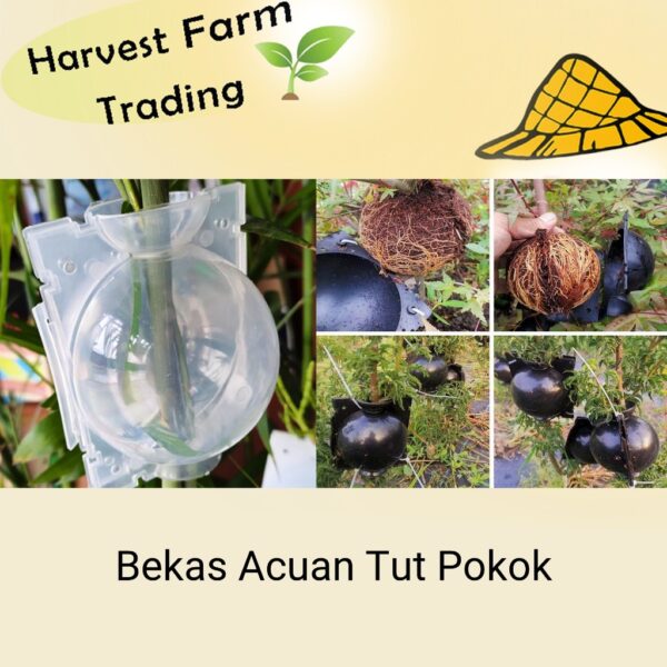 Bekas Acuan Tut Pokok Air Layering High Pressure Plant Rooting Ball Garden Fruit Tree Seedling Propagating 高压繁殖盒