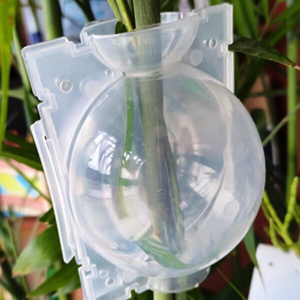 Bekas Acuan Tut Pokok Air Layering High Pressure Plant Rooting Ball Garden Fruit Tree Seedling Propagating 高压繁殖盒 - Image 3