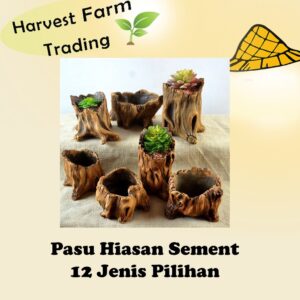 Pasu hiasan creative retro cement imitation wooden pile root wood tree head fleshy flower pot factory direct wholesale