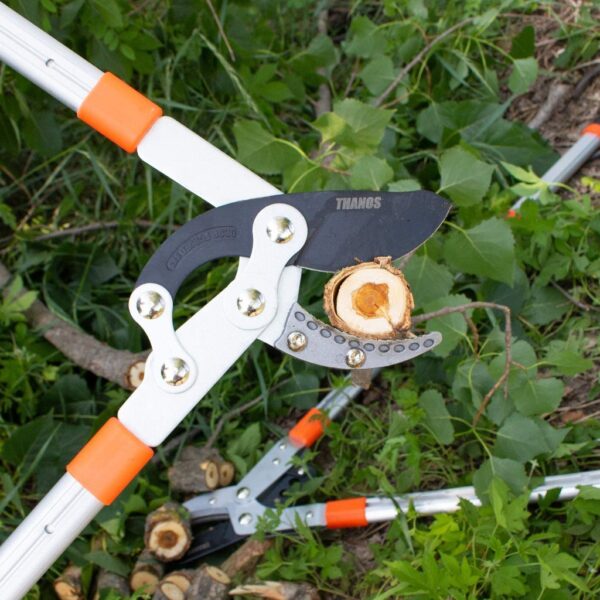 Tree Branch Pruning Cutter  Shears Telescopic Expandable  Blade Wood Cutter Secateurs Home Gardening Plant Lopper Cutter - Image 3