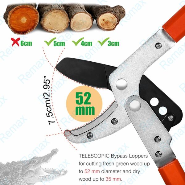 Tree Branch Pruning Cutter  Shears Telescopic Expandable  Blade Wood Cutter Secateurs Home Gardening Plant Lopper Cutter - Image 4