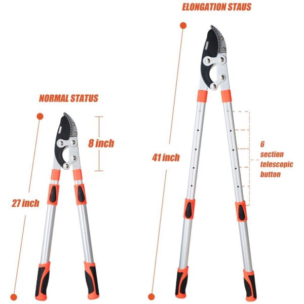 Tree Branch Pruning Cutter  Shears Telescopic Expandable  Blade Wood Cutter Secateurs Home Gardening Plant Lopper Cutter - Image 7