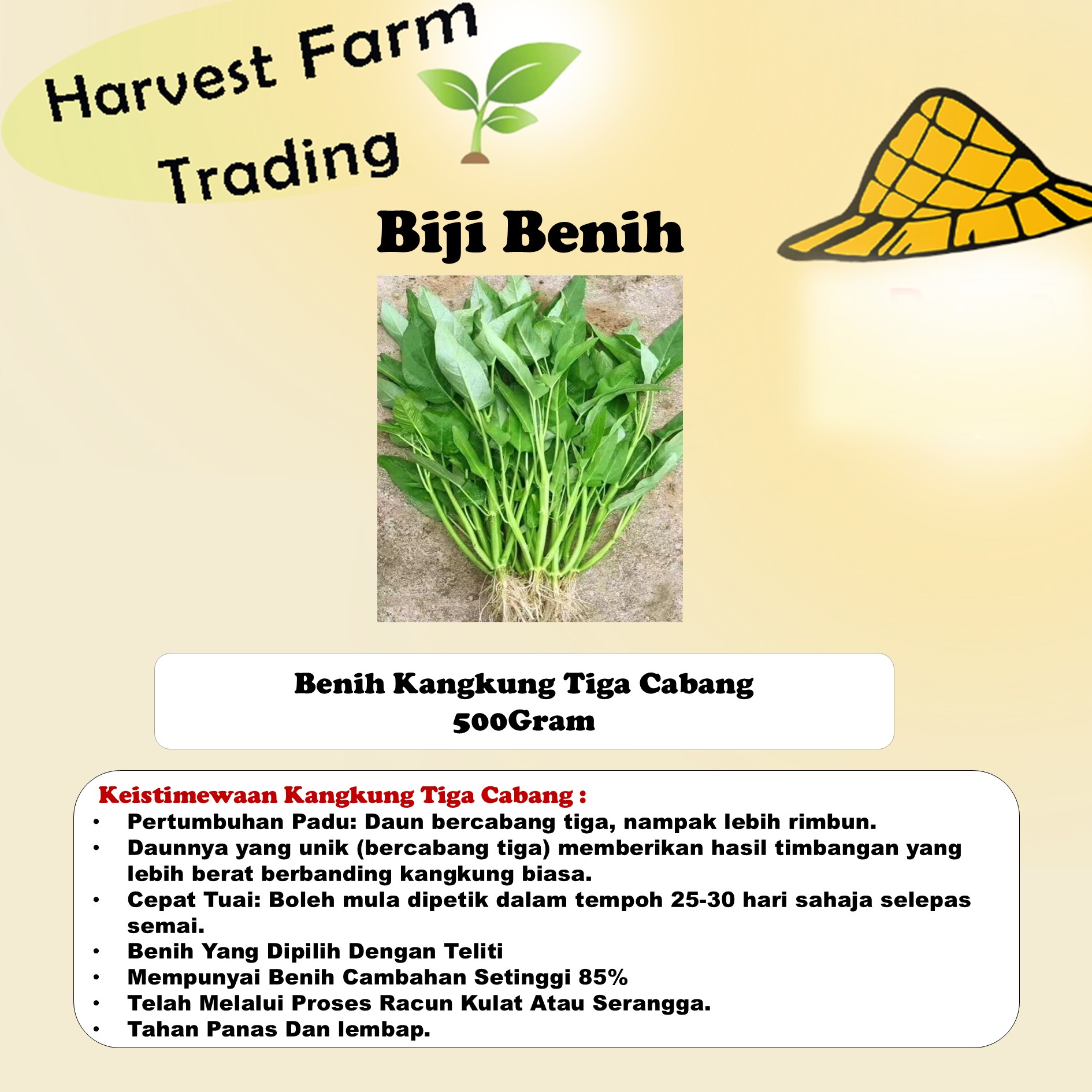 Biji Benih Kangkung Tiga Cabang 500 Gram benih kangkung 3 cabang 500g tiga tangkai 三叉空心菜种子 spinach seed benih sayur - Image 4