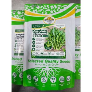 Biji Benih Kangkung Tiga Cabang 500 Gram benih kangkung 3 cabang 500g tiga tangkai 三叉空心菜种子 spinach seed benih sayur