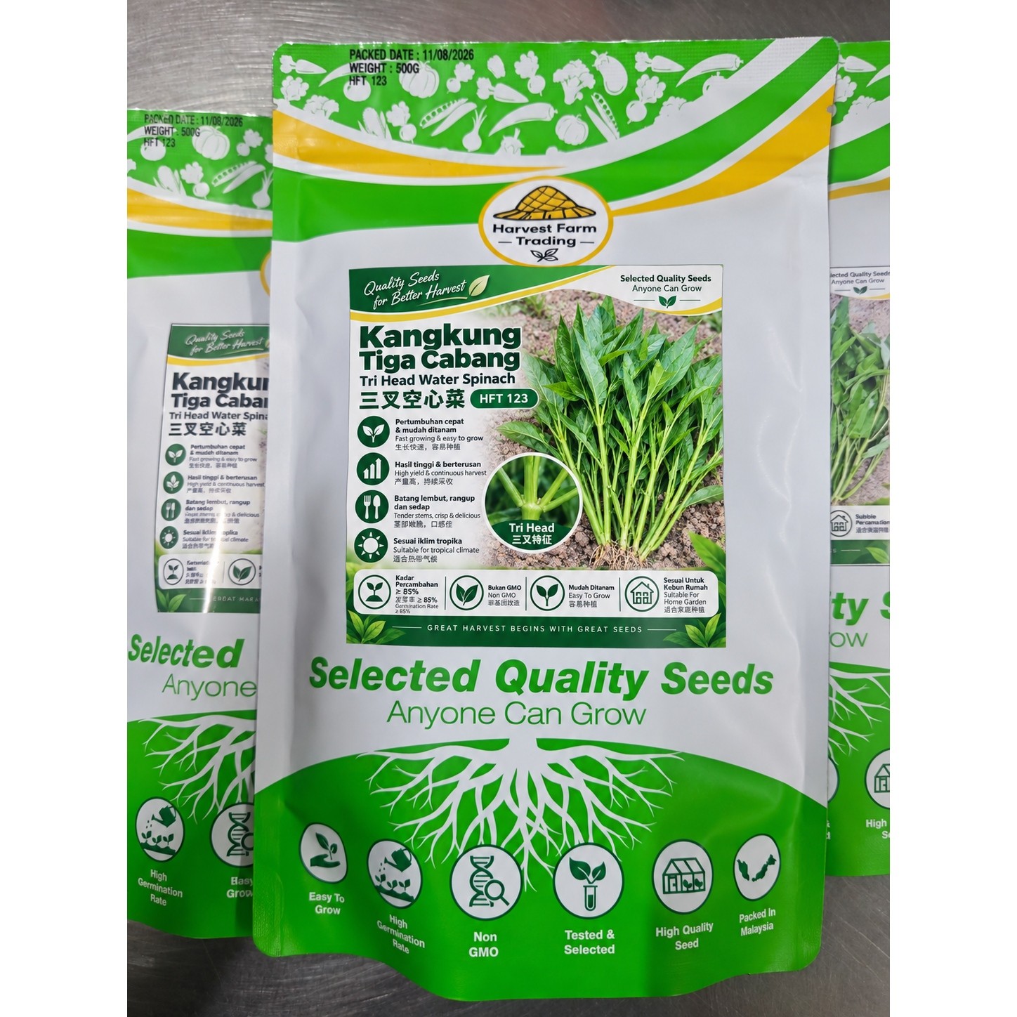 Biji Benih Kangkung Tiga Cabang 500 Gram benih kangkung 3 cabang 500g tiga tangkai 三叉空心菜种子 spinach seed benih sayur