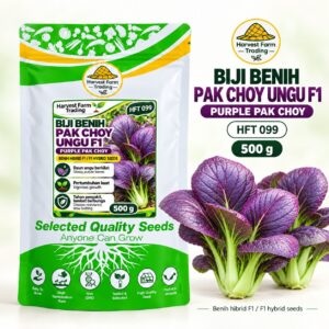 Harvest Farm Trading HFT 099 Purple Pak Choy F1 hybrid seeds, 500 g, purple leaves and green stalks