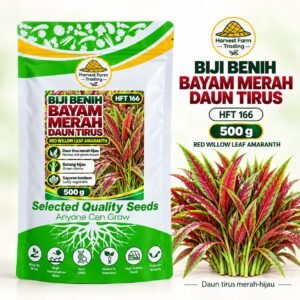 Harvest Farm Trading HFT 166 Red Willow Leaf Amaranth seeds, 500 g, narrow red-green leaves and green stems