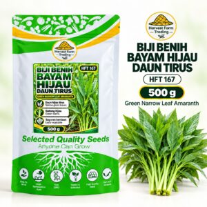 Harvest Farm Trading HFT 167 Green Narrow Leaf Amaranth Seeds 500 g