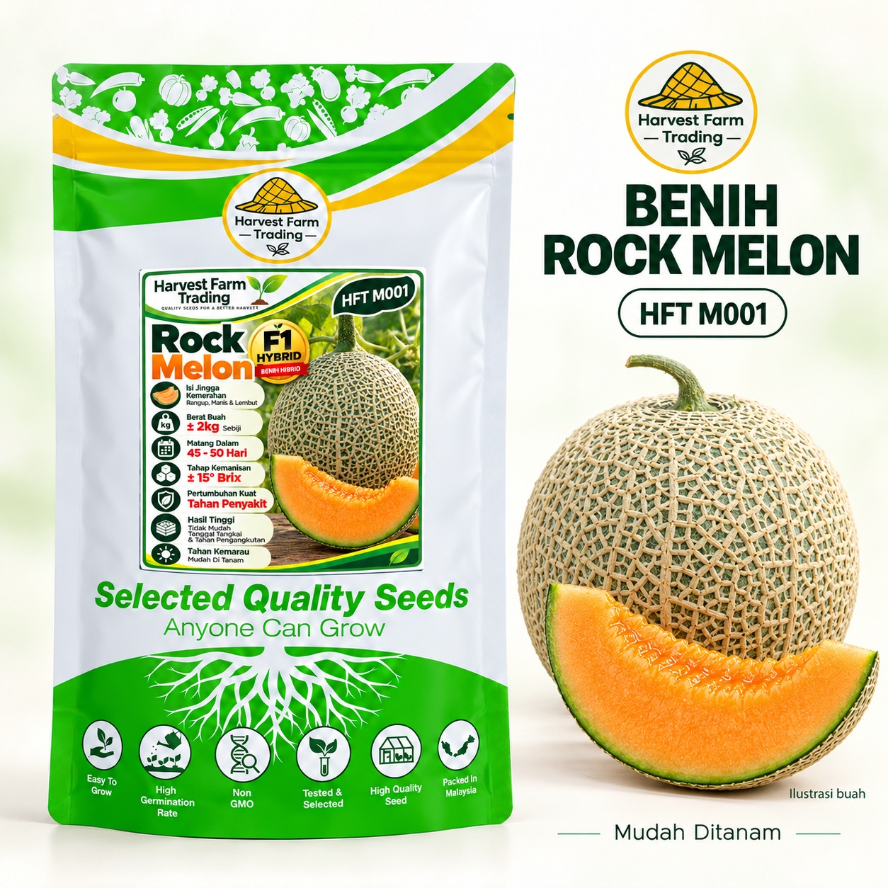 Harvest Farm Trading HFT M001 Rock Melon F1 seeds, 100 seeds per pack — 网纹甜瓜种子