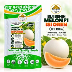 Harvest Farm Trading HFT M004 F1 hybrid white-skin orange-flesh melon seeds, 100 seeds per pack