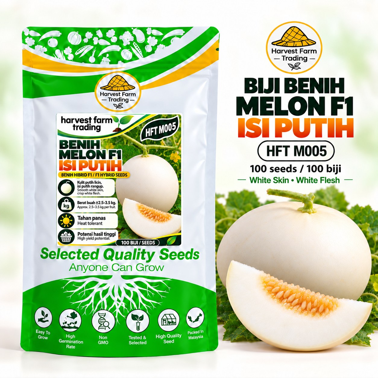 Harvest Farm Trading HFT M005 F1 hybrid melon seeds, round white-skin white-flesh fruit with green vine, 100 seeds per pack