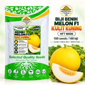 Harvest Farm Trading HFT M006 golden-yellow white-flesh F1 melon seeds, 100 seeds, round fruit with green vine