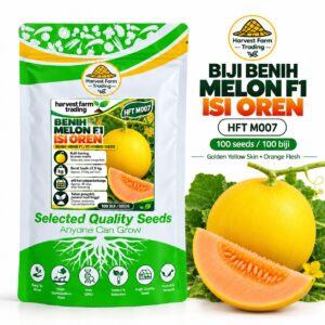 Harvest Farm Trading HFT M007 F1 melon seeds, golden-yellow skin, orange flesh, round fruit with green vine, 100 seeds