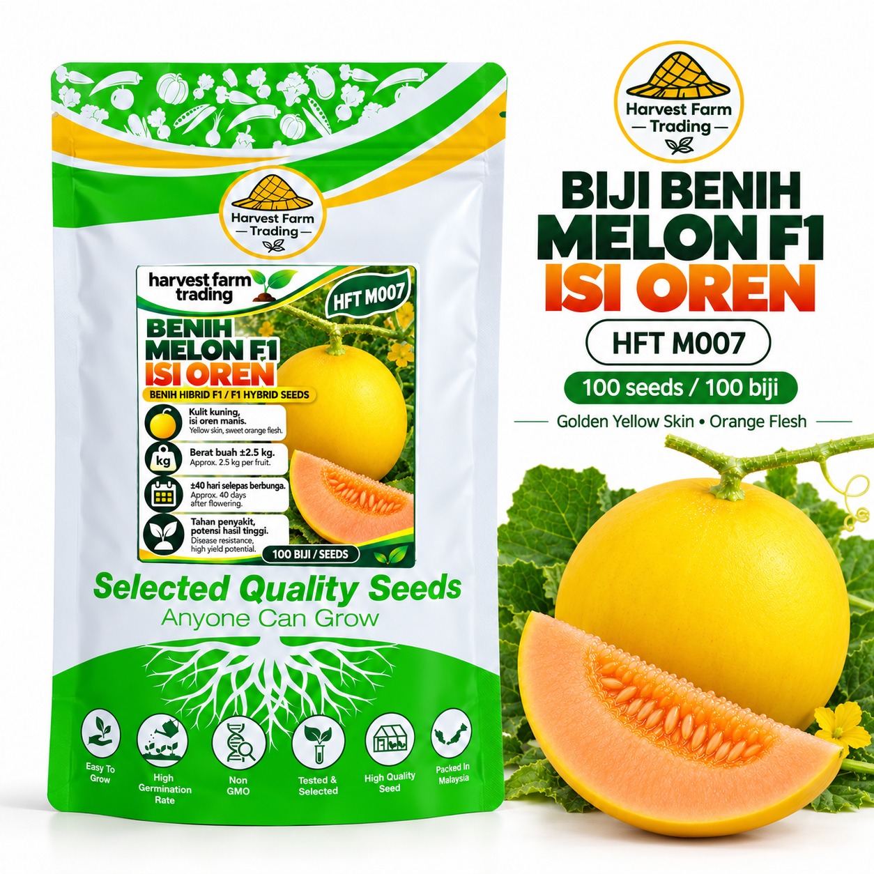 Harvest Farm Trading HFT M007 F1 melon seeds, golden-yellow skin, orange flesh, round fruit with green vine, 100 seeds