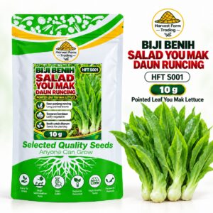 Biji Benih Salad Selada You Mak Daun Runcing | Pointed Leaf You Mak Lettuce Seeds 尖叶甜油麦菜种子 | 10g | HFT S001