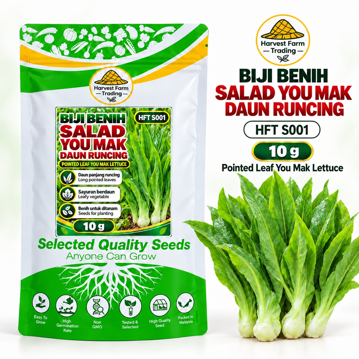 Biji Benih Salad Selada You Mak Daun Runcing | Pointed Leaf You Mak Lettuce Seeds 尖叶甜油麦菜种子 | 10g | HFT S001