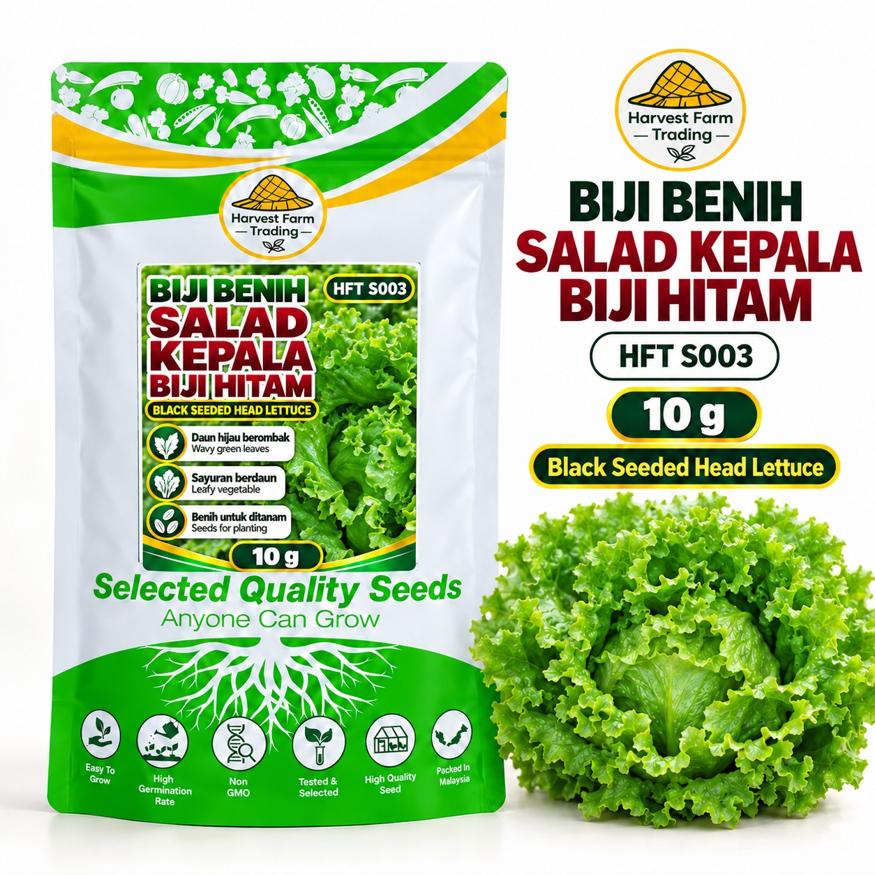 Biji Benih Salad Selada Kepala Biji Hitam | Black Seeded Head Lettuce Seeds 黑籽结球生菜种子 | 10g | HFT S003