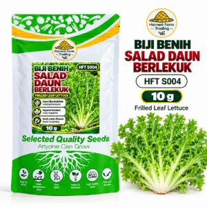 Biji Benih Salad Selada Daun Berlekuk | Frilled Leaf Lettuce Seeds 花叶生菜种子 | 10g | HFT S004