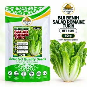 Biji Benih Salad Selada Romaine Turin | Turin Romaine Lettuce Seeds 都灵直叶生菜种子 | 10g | HFT S005