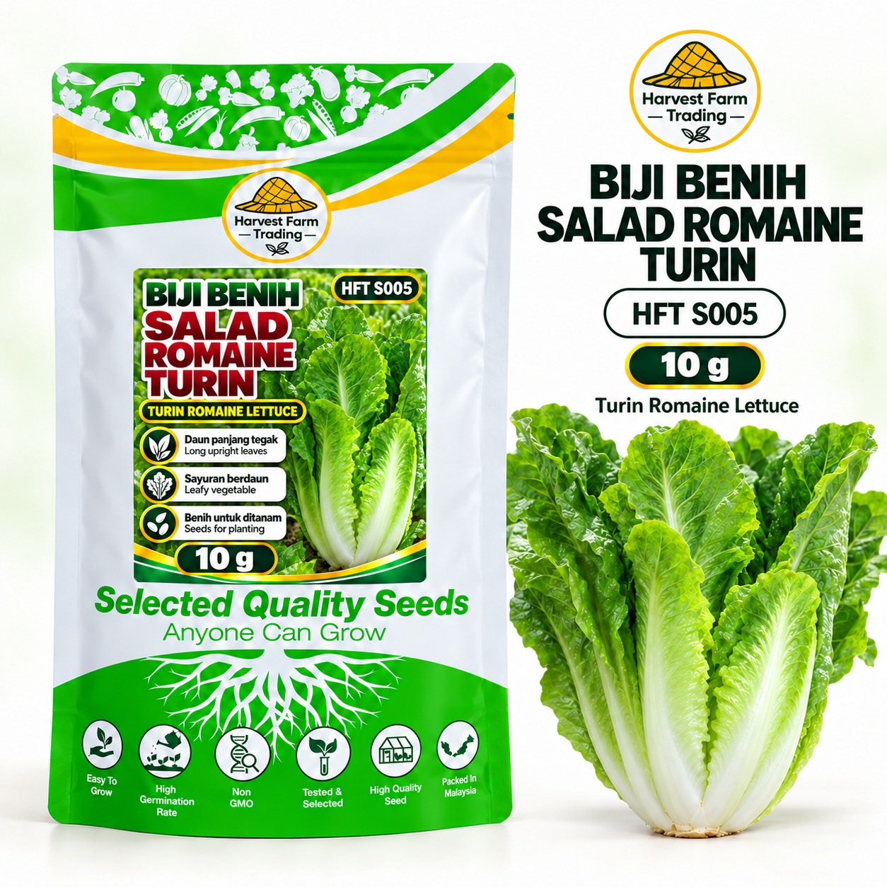 Biji Benih Salad Selada Romaine Turin | Turin Romaine Lettuce Seeds 都灵直叶生菜种子 | 10g | HFT S005