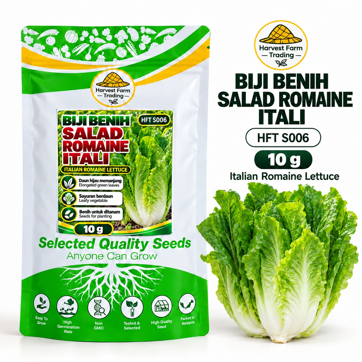Biji Benih Salad Selada Romaine Itali | Italian Romaine Lettuce Seeds 意大利直叶生菜种子 | 10g | HFT S006