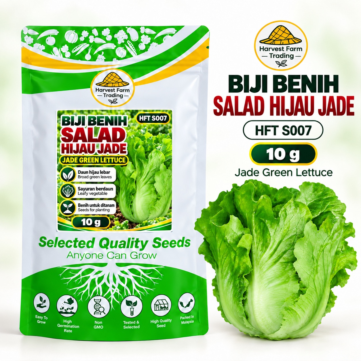Biji Benih Salad Selada Hijau Jade | Jade Green Lettuce Seeds 碧玉生菜种子 | 10g | HFT S007