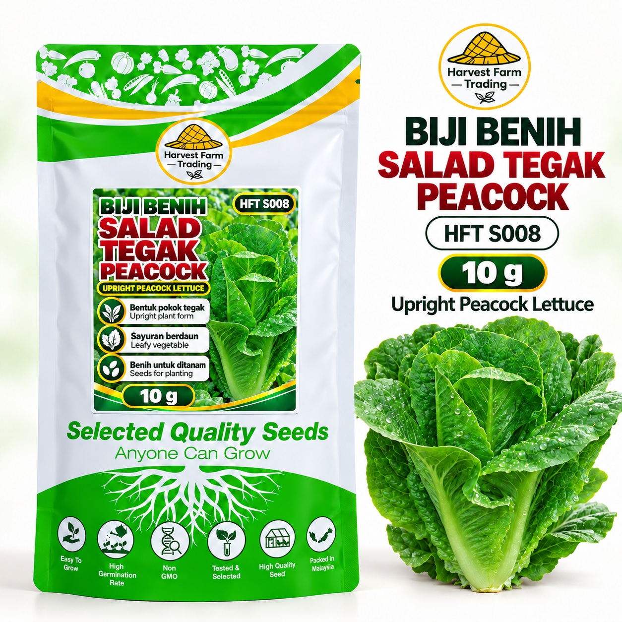 Biji Benih Salad Selada Tegak Peacock | Upright Peacock Lettuce Seeds 孔雀直立生菜种子 | 10g | HFT S008