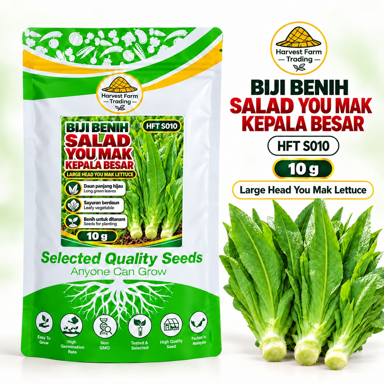 Biji Benih Salad Selada You Mak Kepala Besar | Large Head You Mak Lettuce Seeds 耐热大头油麦菜种子 | 10g | HFT S010