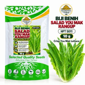 Biji Benih Salad Selada You Mak Rangup | Crisp You Mak Lettuce Seeds 清脆油麦菜种子 | 10g | HFT S011