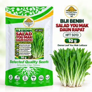 Biji Benih Salad Selada You Mak Daun Rapat | Dense Leaf You Mak Lettuce Seeds 密叶香油麦菜种子 | 10g | HFT S013