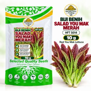 Biji Benih Salad Selada You Mak Merah | Red You Mak Lettuce Seeds 红油麦菜种子 | 10g | HFT S014