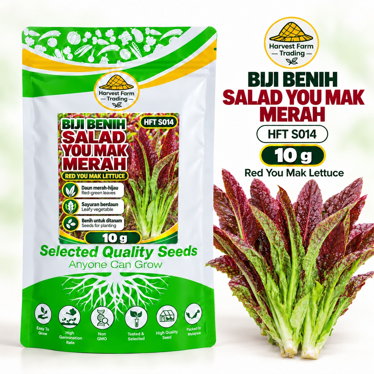 Biji Benih Salad Selada You Mak Merah | Red You Mak Lettuce Seeds 红油麦菜种子 | 10g | HFT S014