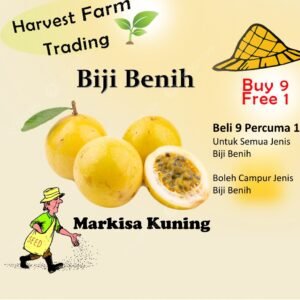 Biji Benih Markisa Kuning 10pcs yellow passion seed fruit seed golden passion seed 黄金百香果种子 vegetable seed