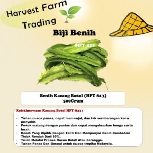 Benih Kacang Botol 500 Gram HFT 823 biji benih kacang botol 500g winged bean seed 500g 四凌豆种子 500克 四角豆种子