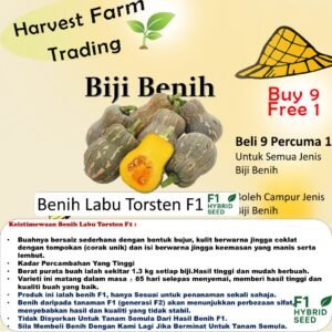 Biji Benih Labu Torsten F1 5PCS benih labu manis pumpkin seed vegetable seed fruit seed 南瓜种子