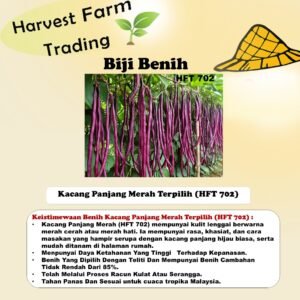 Biji Benih Kacang Panjang Merah 10PCS HFT 702 红长豆角种子杂交豇豆种子 red long bean seed yardlong bean seeds