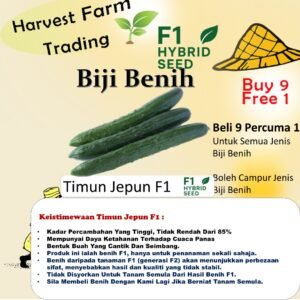 Biji Benih Timun Jepun F1 10PCS +- japanese cucumber seed 日本黄瓜种子