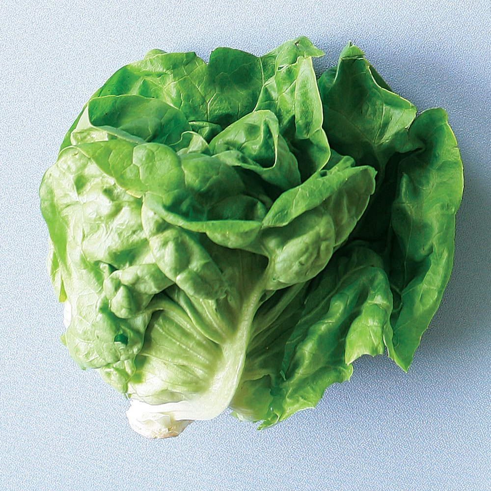 Biji Benih Salad Butterhead 300Pcs +- Butter leaf lettuce seed 奶油生菜种子 Vegetable seeds benih sayur sayuran baja seeds ros - Image 9