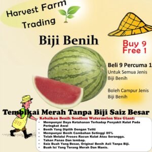 Benih Tembikai Tanpa Biji 5pcs Merah Seedless Watermelon seed red biji benih tembikai boci kuning 无籽西瓜种子種子 buah melon