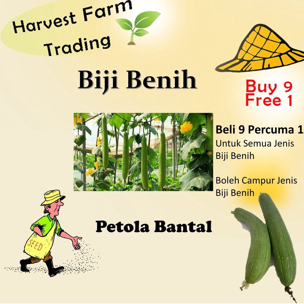 Biji Benih Petola Ular 10Pcs Bantal Luffa Sponge Gourd Seeds 蔬菜種子丝瓜种子 vegetable seed Sayur sayuran petula pelbagai segi