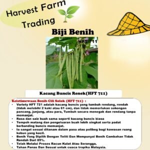 Biji Benih Kacang Buncis Renek 500Gram HFT 711 矮生四季豆种子 dwarf French bean seed bush bean seeds