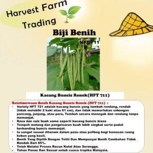 Biji Benih Kacang Buncis Renek 10 PCS HFT 711 矮生四季豆种子 dwarf French bean seed bush bean seeds
