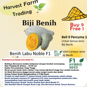 Biji Benih Labu Noble F1 3Pcs benih buah labu pumpkin seed fruit seed 南瓜种子贵族南瓜种子 biji benih buah vegetable seeds