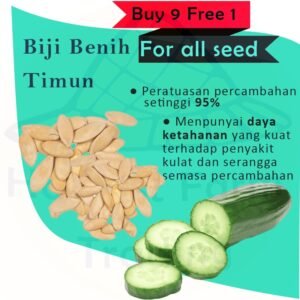 Biji Benih Timun Hijau 10 Biji Vegetable Seed Cucumber Cucumber 黄瓜种子 Family Seeds Plant Seed