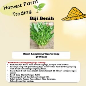 Biji Benih Kangkung Tiga Cabang 500 Gram benih kangkung 3 cabang 500g tiga tangkai 三叉空心菜种子 spinach seed benih sayur