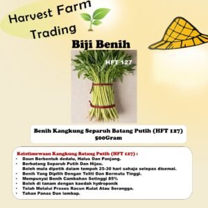 Benih Kangkung Separuh Batang Hijau Dan Putih 500g 1kg HFT 127 daun tirus dedalu white spinach seed 500 gram 半青白柳叶空心菜种子