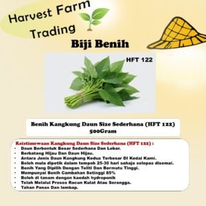 Biji Benih Kangkung Daun Sederhana Hft 122 500G 1kg benih kangkung murah 500gram spinach seeds 空心菜种子蔬菜种子植物种子 benih sayur