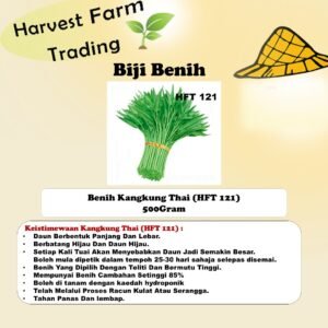 Benih Kangkung Thai 500G 1kg Biji benih kangkung siam daun lebar panjang spinach seeds 泰国柳叶空心菜种子 kangkung murah